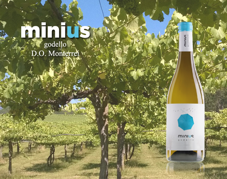 Minius godello – Vi del mes de Setembre 2025